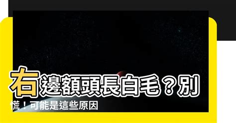 額頭有毛|【額頭長白毛可以拔嗎】額頭發現白毛長不停！好運還是厄運？小。